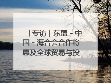 专访｜东盟－中国－海合会合作将惠及全球贸易与投资——访马来西亚亚太“一带一路”共策会高级研究员本恩·纳戈拉