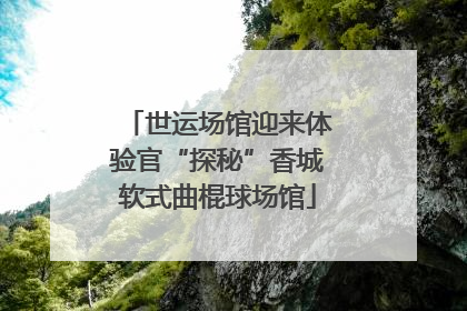 世运场馆迎来体验官“探秘”香城软式曲棍球场馆