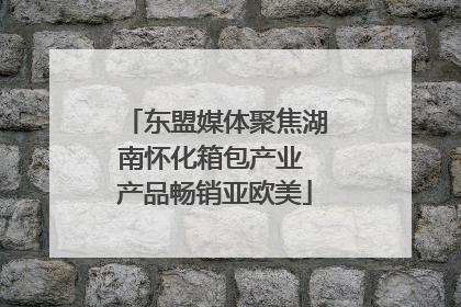 东盟媒体聚焦湖南怀化箱包产业 产品畅销亚欧美