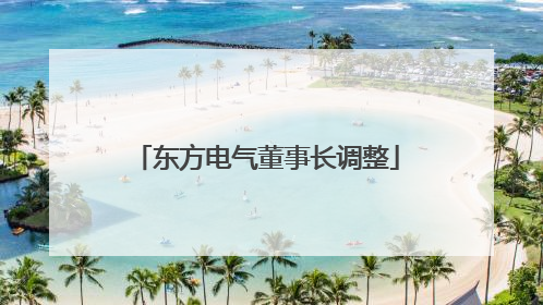 东方电气董事长调整