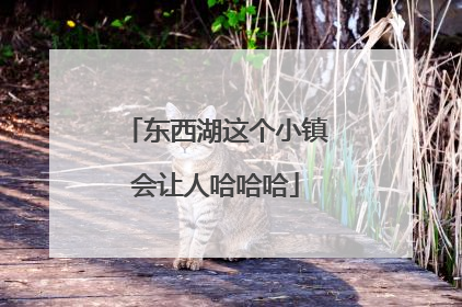 东西湖这个小镇会让人哈哈哈