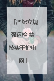 严纪立规强运检 精技实干护电网