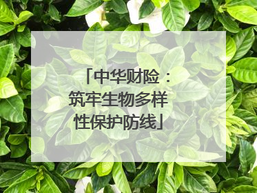 中华财险：筑牢生物多样性保护防线
