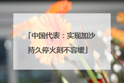 中国代表：实现加沙持久停火刻不容缓