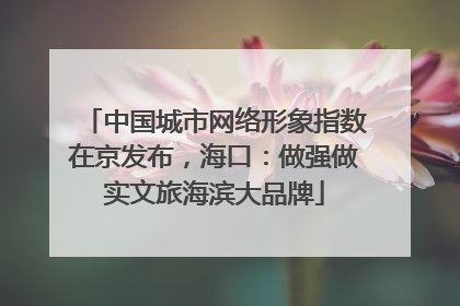 中国城市网络形象指数在京发布，海口：做强做实文旅海滨大品牌