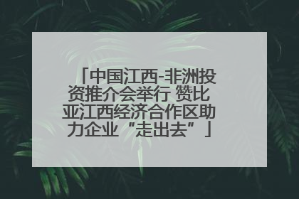 中国江西-非洲投资推介会举行 赞比亚江西经济合作区助力企业“走出去”