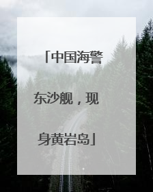 中国海警东沙舰，现身黄岩岛