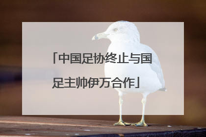 中国足协终止与国足主帅伊万合作