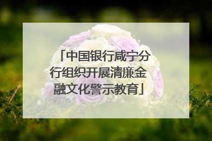 中国银行咸宁分行组织开展清廉金融文化警示教育