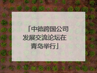 中德跨国公司发展交流论坛在青岛举行