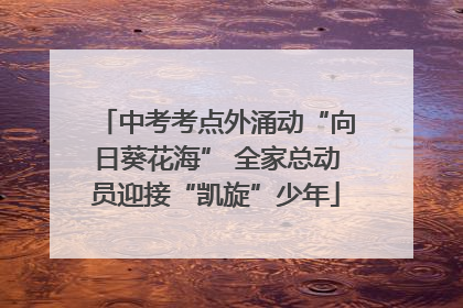 中考考点外涌动“向日葵花海” 全家总动员迎接“凯旋”少年