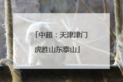 中超：天津津门虎胜山东泰山