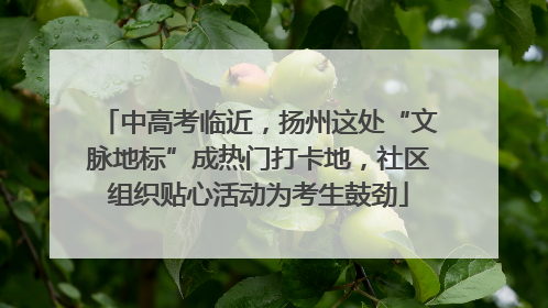 中高考临近，扬州这处“文脉地标”成热门打卡地，社区组织贴心活动为考生鼓劲