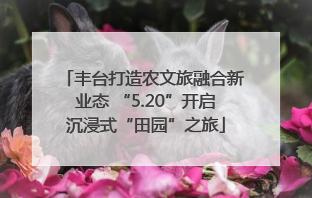 丰台打造农文旅融合新业态 “5.20”开启沉浸式“田园”之旅