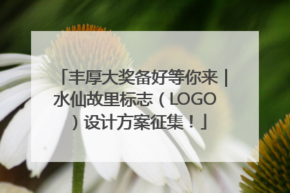 丰厚大奖备好等你来｜水仙故里标志（LOGO）设计方案征集！