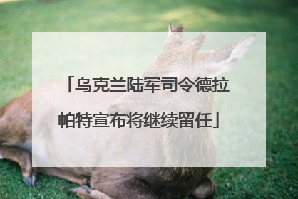 乌克兰陆军司令德拉帕特宣布将继续留任