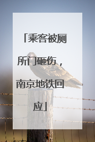 乘客被厕所门砸伤，南京地铁回应
