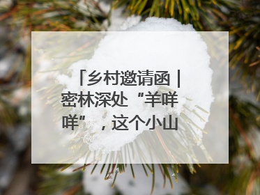 乡村邀请函｜密林深处“羊咩咩”，这个小山村如何逆袭？