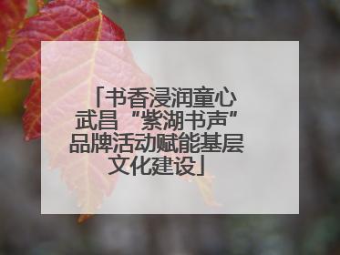 书香浸润童心 武昌“紫湖书声”品牌活动赋能基层文化建设