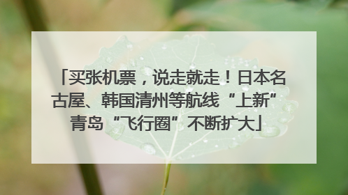 买张机票，说走就走！日本名古屋、韩国清州等航线“上新” 青岛“飞行圈”不断扩大