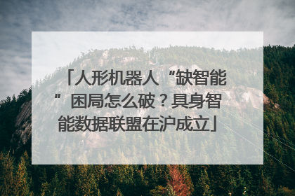人形机器人“缺智能”困局怎么破？具身智能数据联盟在沪成立