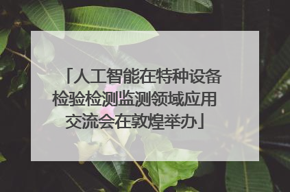 人工智能在特种设备检验检测监测领域应用交流会在敦煌举办