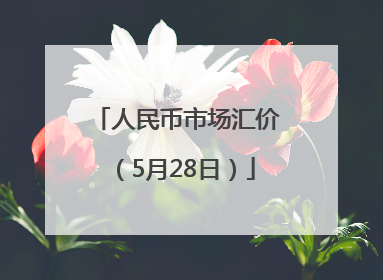 人民币市场汇价（5月28日）