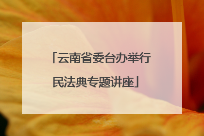 云南省委台办举行民法典专题讲座
