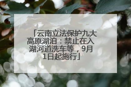 云南立法保护九大高原湖泊：禁止在入湖河道洗车等，9月1日起施行