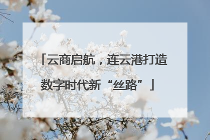 云商启航，连云港打造数字时代新“丝路”