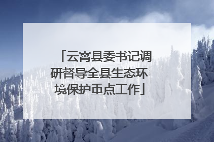 云霄县委书记调研督导全县生态环境保护重点工作