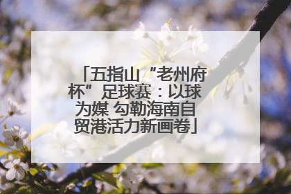 五指山“老州府杯”足球赛：以球为媒 勾勒海南自贸港活力新画卷