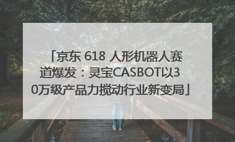 京东 618 人形机器人赛道爆发：灵宝CASBOT以30万级产品力搅动行业新变局