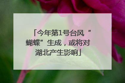 今年第1号台风“蝴蝶”生成，或将对湖北产生影响