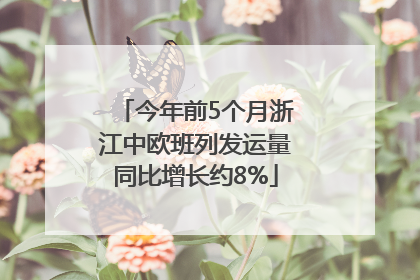 今年前5个月浙江中欧班列发运量同比增长约8%
