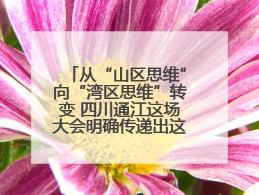 从“山区思维”向“湾区思维”转变 四川通江这场大会明确传递出这些信号