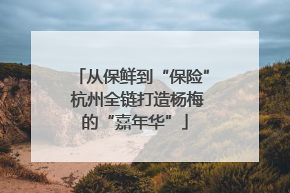 从保鲜到“保险” 杭州全链打造杨梅的“嘉年华”