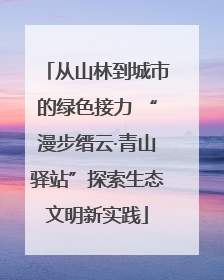 从山林到城市的绿色接力 “漫步缙云·青山驿站”探索生态文明新实践