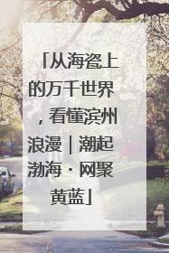 从海瓷上的万千世界，看懂滨州浪漫｜潮起渤海・网聚黄蓝