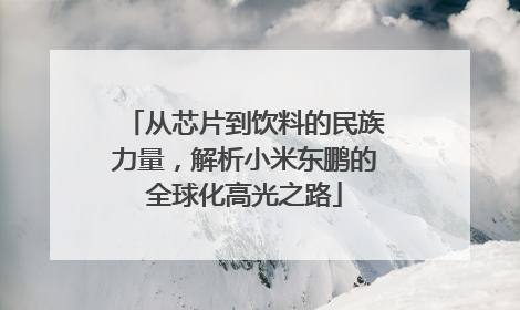 从芯片到饮料的民族力量，解析小米东鹏的全球化高光之路