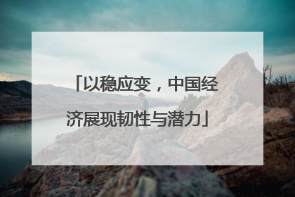 以稳应变，中国经济展现韧性与潜力
