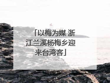 以梅为媒 浙江兰溪杨梅乡迎来台湾客