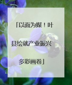 以面为媒！叶县绘就产业振兴多彩画卷