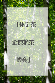 休宁茶企惊艳茶博会