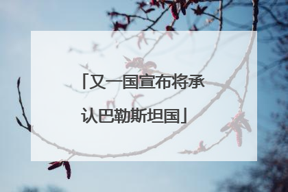 又一国宣布将承认巴勒斯坦国