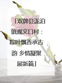 双牌县泷泊镇观文口村：粽叶飘香承古韵 乡情凝聚展新篇