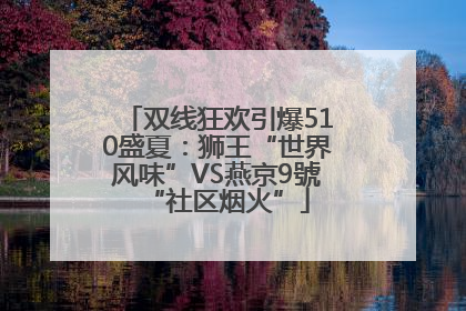 双线狂欢引爆510盛夏：狮王“世界风味”VS燕京9號“社区烟火”