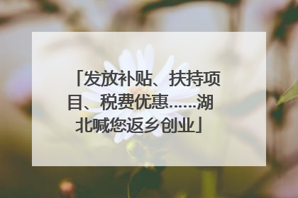 发放补贴、扶持项目、税费优惠……湖北喊您返乡创业