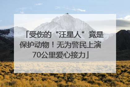 受伤的“汪星人”竟是保护动物！无为警民上演70公里爱心接力