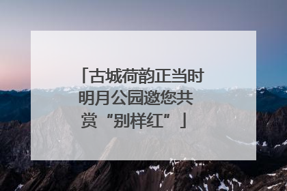 古城荷韵正当时 明月公园邀您共赏“别样红”